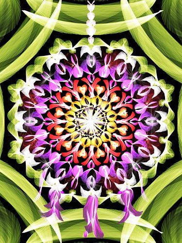 Dromenvanger mandala