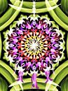Dreamcatcher mandala by Heidemarie Andrea Sattler thumbnail