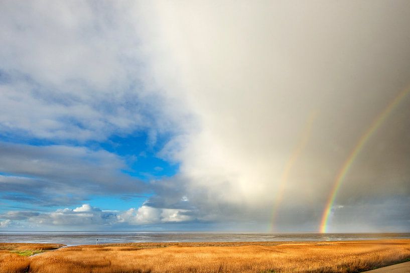 Waddenzee bij Westhoek tijdens eb van Marcel van Kammen