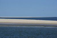 texel