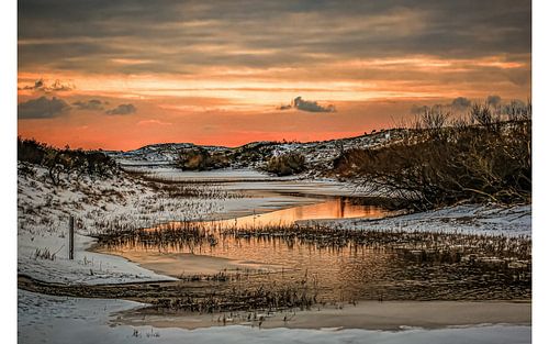 Winter sunset in the Amsterdam Water Supply Dunes