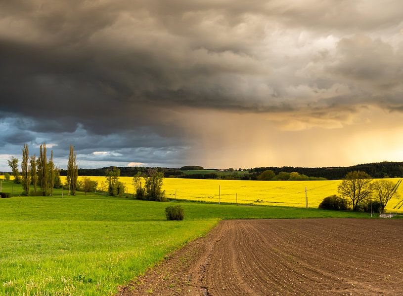 Colour play of the landscape in spring during a thunderstorm by Animaflora PicsStock