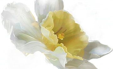 Narcis van Ruth Day