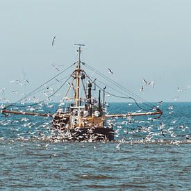 Fishing boat at Scheveningen with lots of seagulls by Anne Zwagers