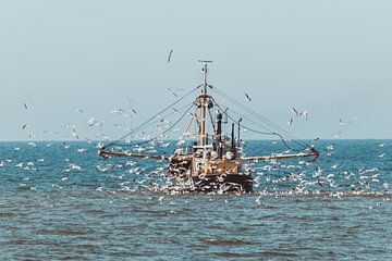 Fishing boat at Scheveningen with lots of seagulls by Anne Zwagers