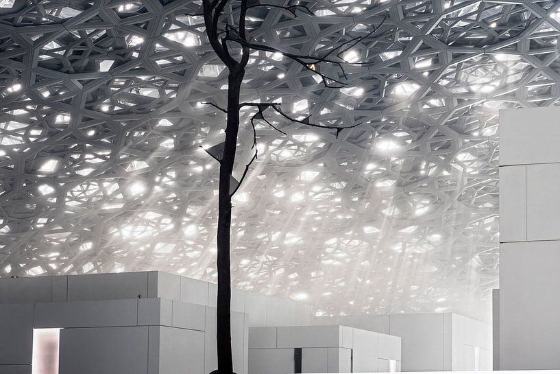 Louvre Abu Dhabi van Ko Hoogesteger