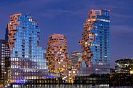 The Valley Zuid-as Amsterdam van Kas Maessen thumbnail