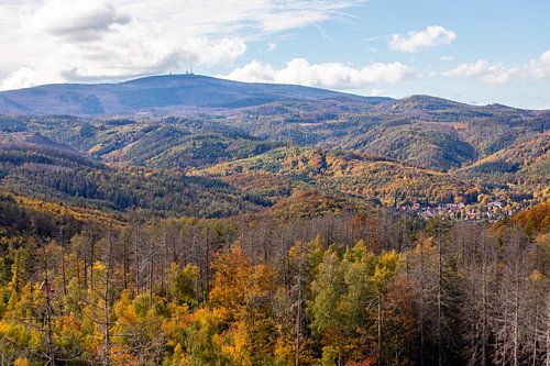 Golden October on the Brocken in the Harz Mountains