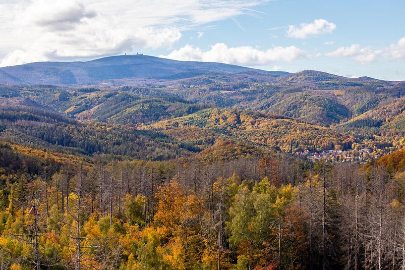 Golden October on the Brocken in the Harz Mountains by t.ART