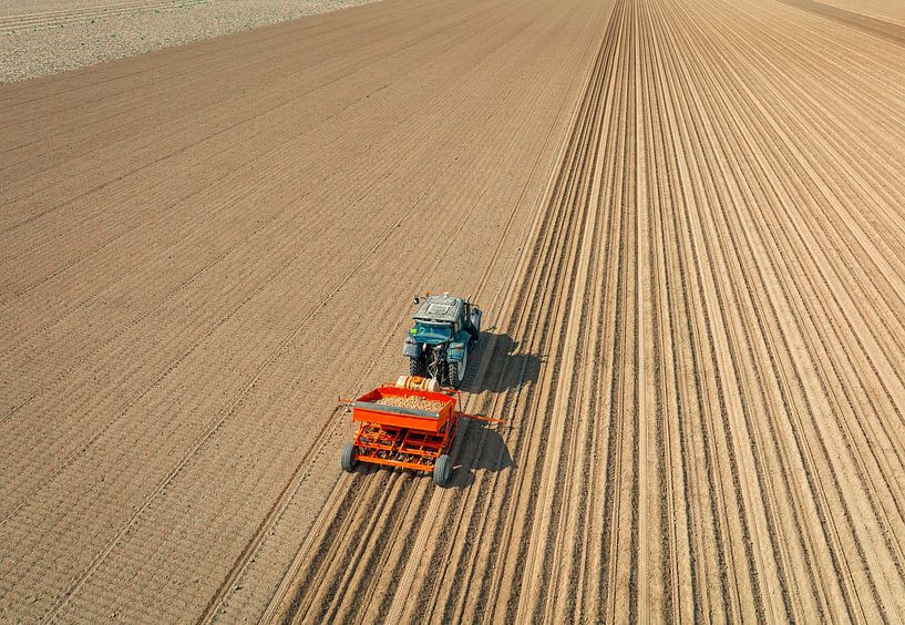 Tractor planting potato seeldings in  the soil during springtim by Sjoerd van der Wal Photography