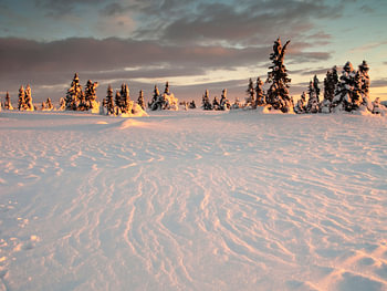 Sculpture sur neige