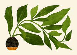 Botanische illustratie van de zwerver