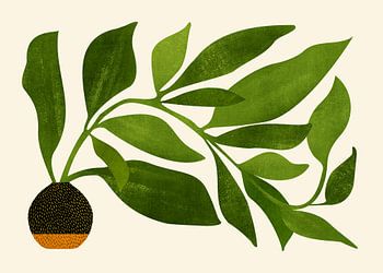 Der Wanderer Botanische Illustration