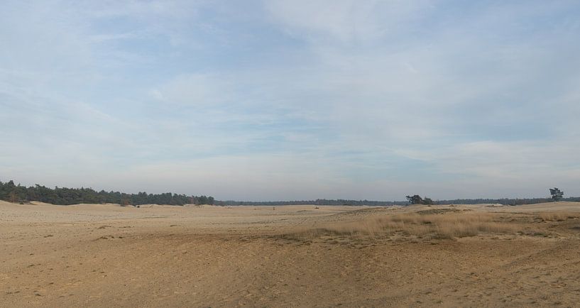 A panorama of a sand drift by Gerard de Zwaan