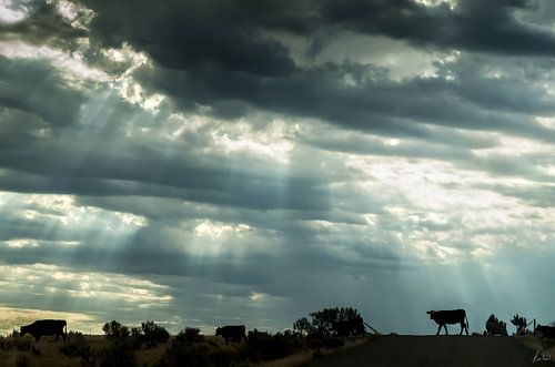 Traversée de la gamme