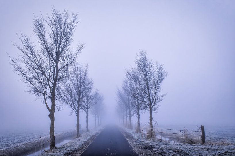 Der Groeneweg zwischen HHwaard und Oterleek im Nebel von peterheinspictures