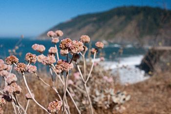 Côte Pacifique en Californie