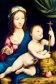 Madonna's Leonardo da Vinci