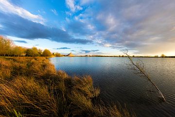 Het Azewijnse Broek, Netterden von Natuurlijk Achterhoek