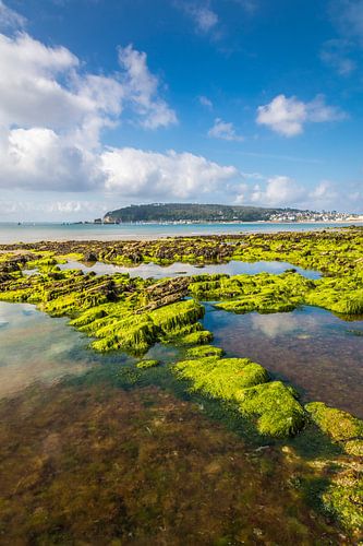 Plage du Porzic at low tide, Morgat, Brittany by Christian Müringer