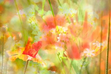 brise estivale sur fantasina