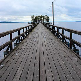 Pont suédois sur Leonie .