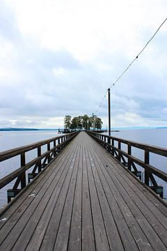 Zweedse brug van Leonie .