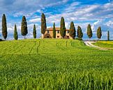 Agriturismo I Cipressini - Toscane van Teun Ruijters thumbnail