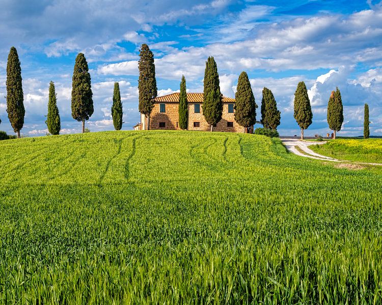 Agriturismo I Cipressini - Toscane van Teun Ruijters