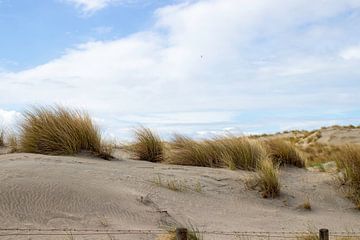 Dune Image 's-Gravenzande