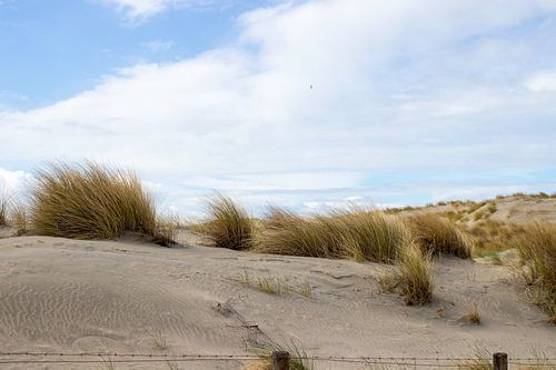 Dune Image 's-Gravenzande sur Martijn Aalbers