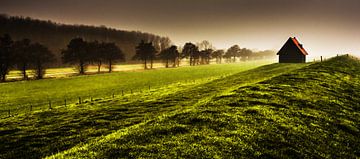 Robbenoord Bos von Harrie Muis