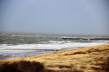 Storm aan zee van Wendy Hilberath