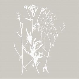 Botanica Delicata. Abstract Retro Botanical in Misted soft grey by Dina Dankers