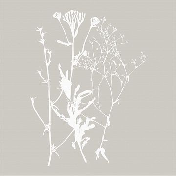 Botanica Delicata. Abstrakte Retro-Botanik in Misted soft grey von Dina Dankers