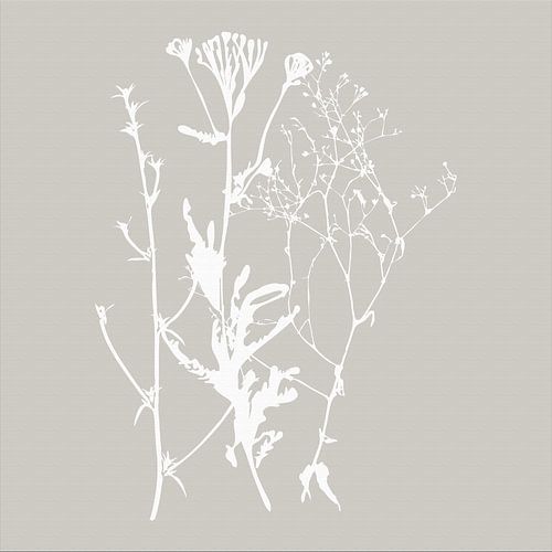 Botanica Delicata. Abstracte Retro Botanical in Gedempt zacht grijs