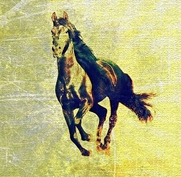 Fierce Horse in the Desert van Nicky`s Prints
