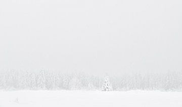Winter Treeline van Raoul Baart