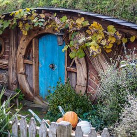 Hobbit House in Hobbiton by Lennard Gog