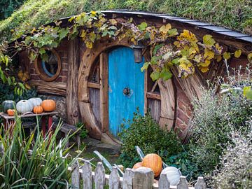 Hobbit Huis in Hobbiton van Lennard Gog