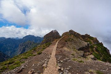 Die Madeira-Episode: die mit den Pfaden von Bfec.nl