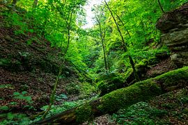 gorge de Wutach sur Jürgen Wiesler