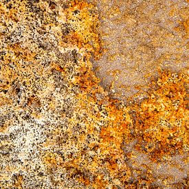 Sulphur deposits in solfatars near Hverir, Iceland by Jan Fritz