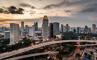 Singapore seen from the Flyer (2)