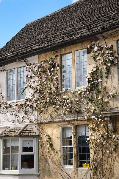 Cotswolds | England | roses by Map of Joy
