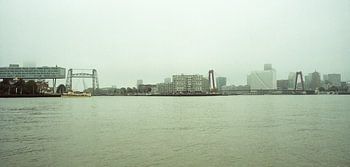 Skyline of Rotterdam’s bridges
