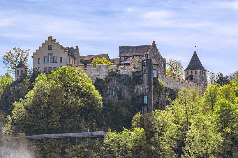 Switzerland : Majestic Schaffhausen by Photoart-Naegele