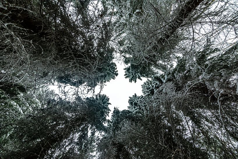 Paysages d'hiver par Johnny Flash