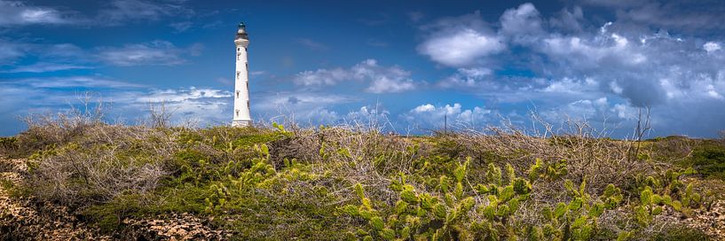 Phare sur l'île d'Aruba, dans les Caraïbes. par Voss photographie