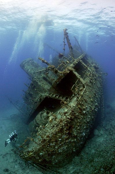 giannis d van Dray van Beeck